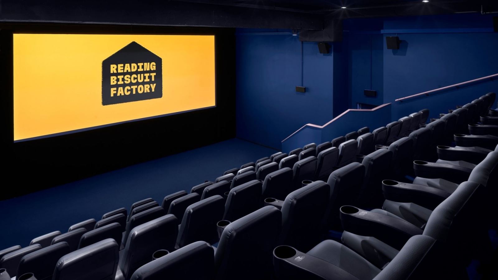 Reading Biscuit Factory cinema screen